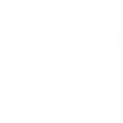 broken image