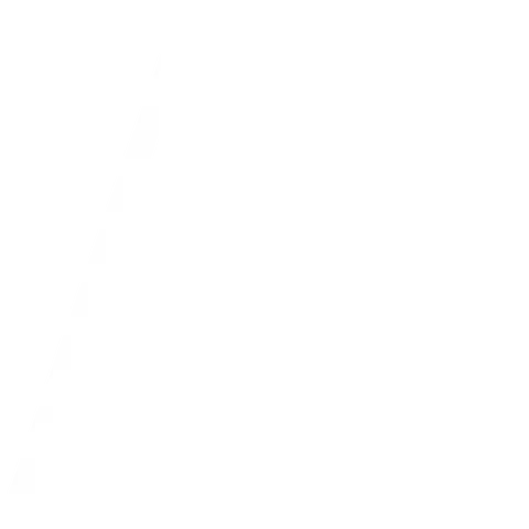 broken image